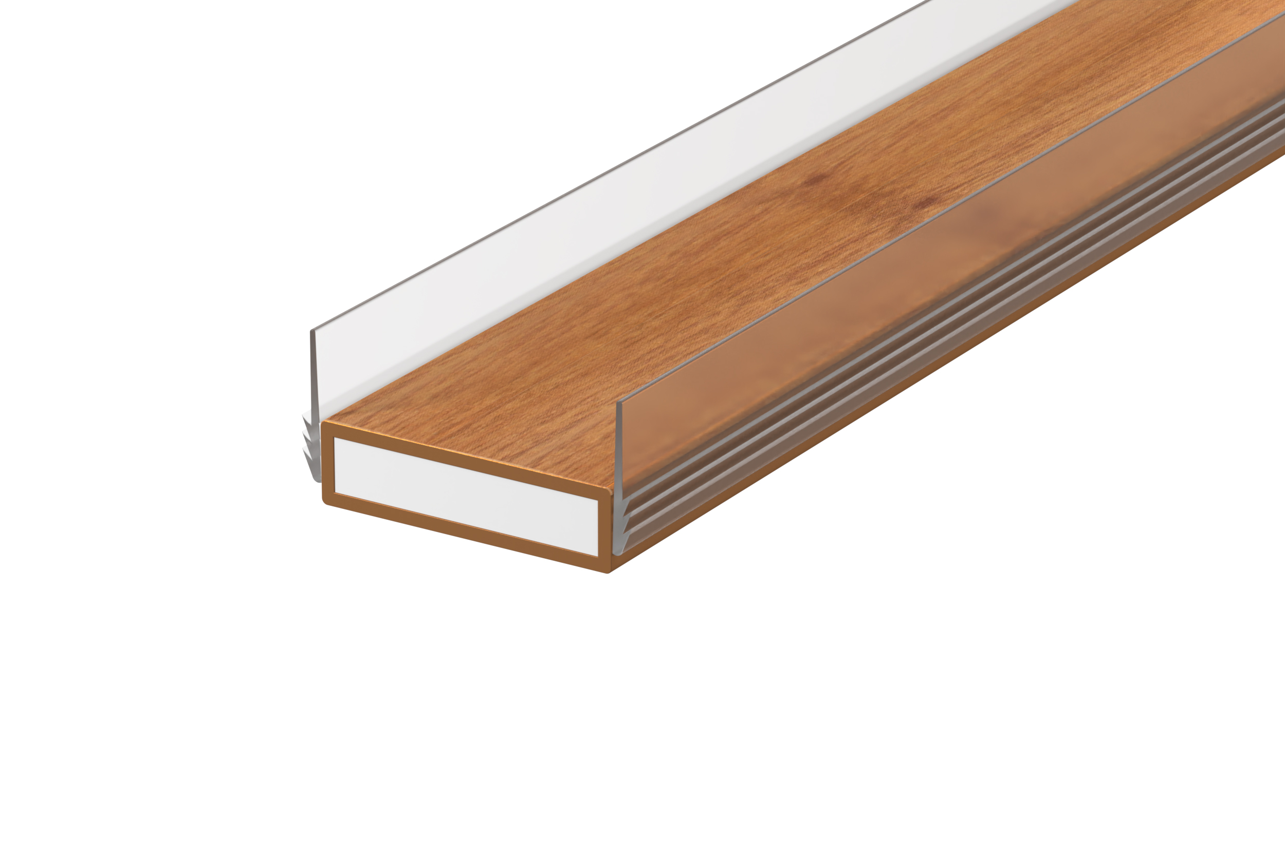 Image: No description